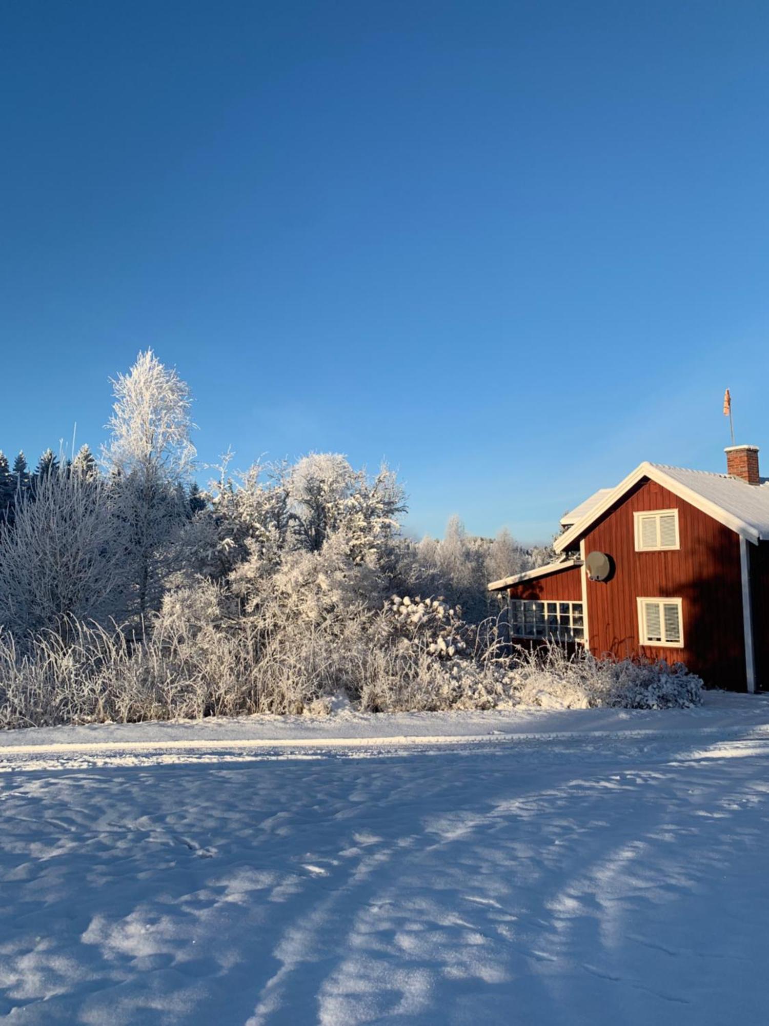 Warm Beheiztes Gemuetliches Haus In Der Natur Sunne Luaran gambar